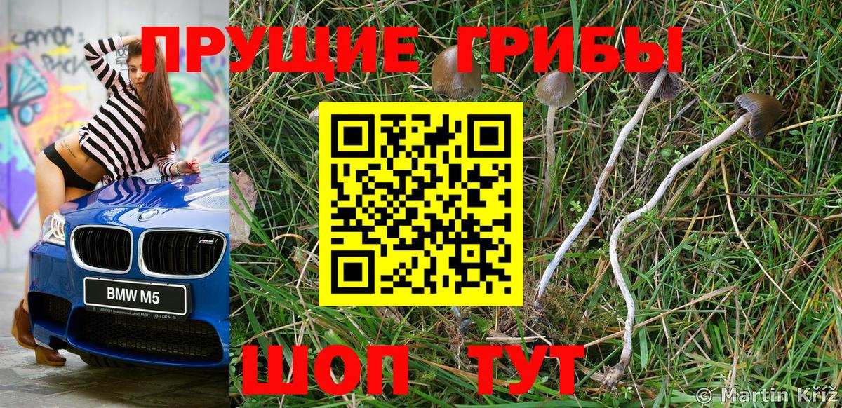 Туймазы  Галлюциногенные грибы мухоморы  Вход с VPN 